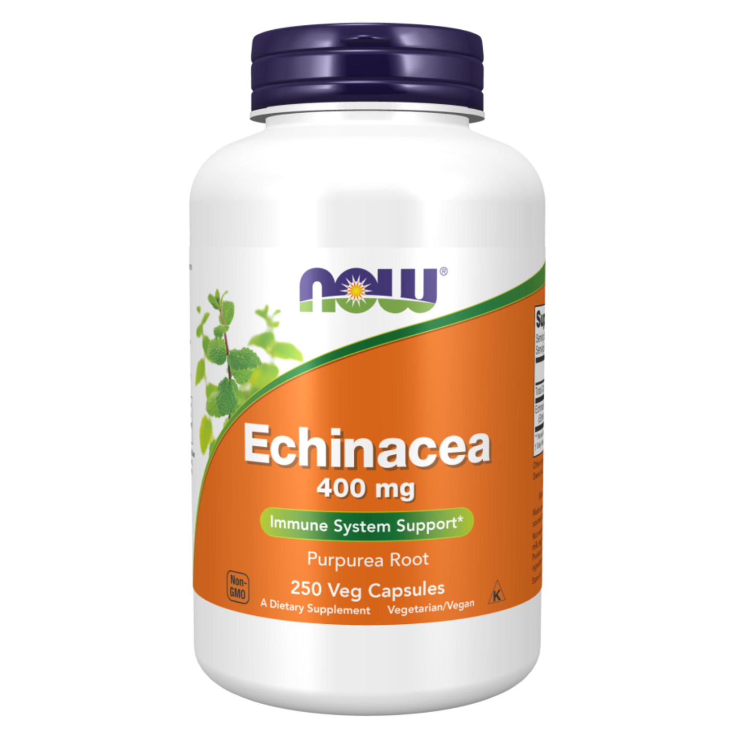 Now Echinacea Immune System Support 500mg Veg Capsules 100's